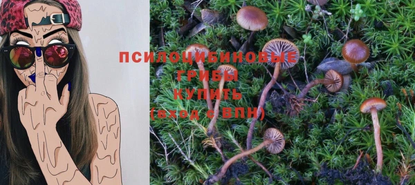МДПВ Волоколамск