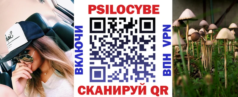 купить наркотики сайты  Северобайкальск  Псилоцибиновые грибы Magic Shrooms 