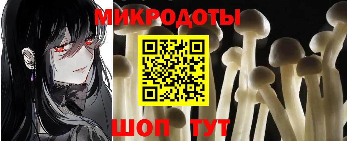 Псилоцибиновые грибы GOLDEN TEACHER  Вход с VPN  наркота  Северобайкальск 